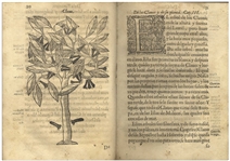 1578 First Edition of ''Tractado de las drogas, y medicinas de las Indias Orientales'' -- The Important Reference of Therapeutic Botany From the Age of Exploration, Complete With All 48 Woodcuts